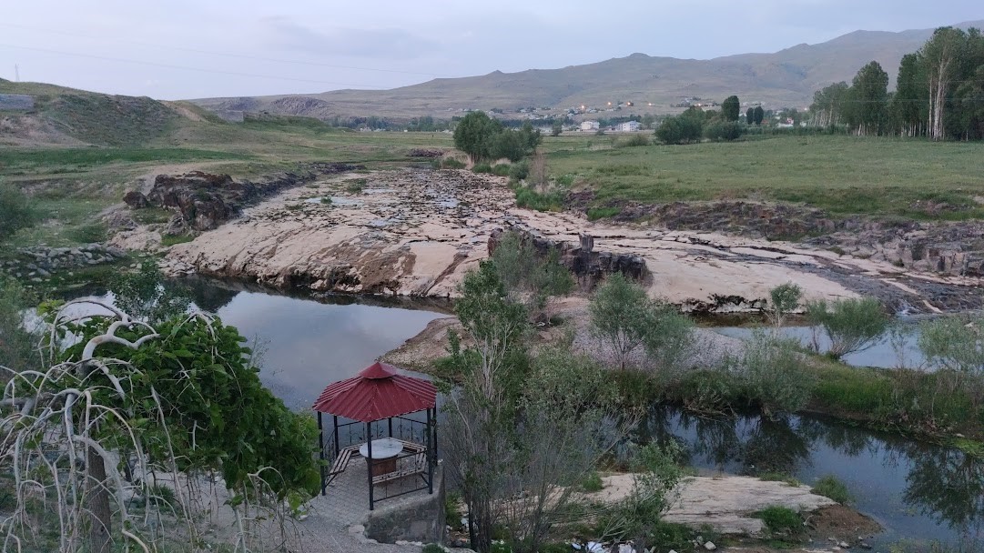 İnci kefalinin yaşamı tehlike altında