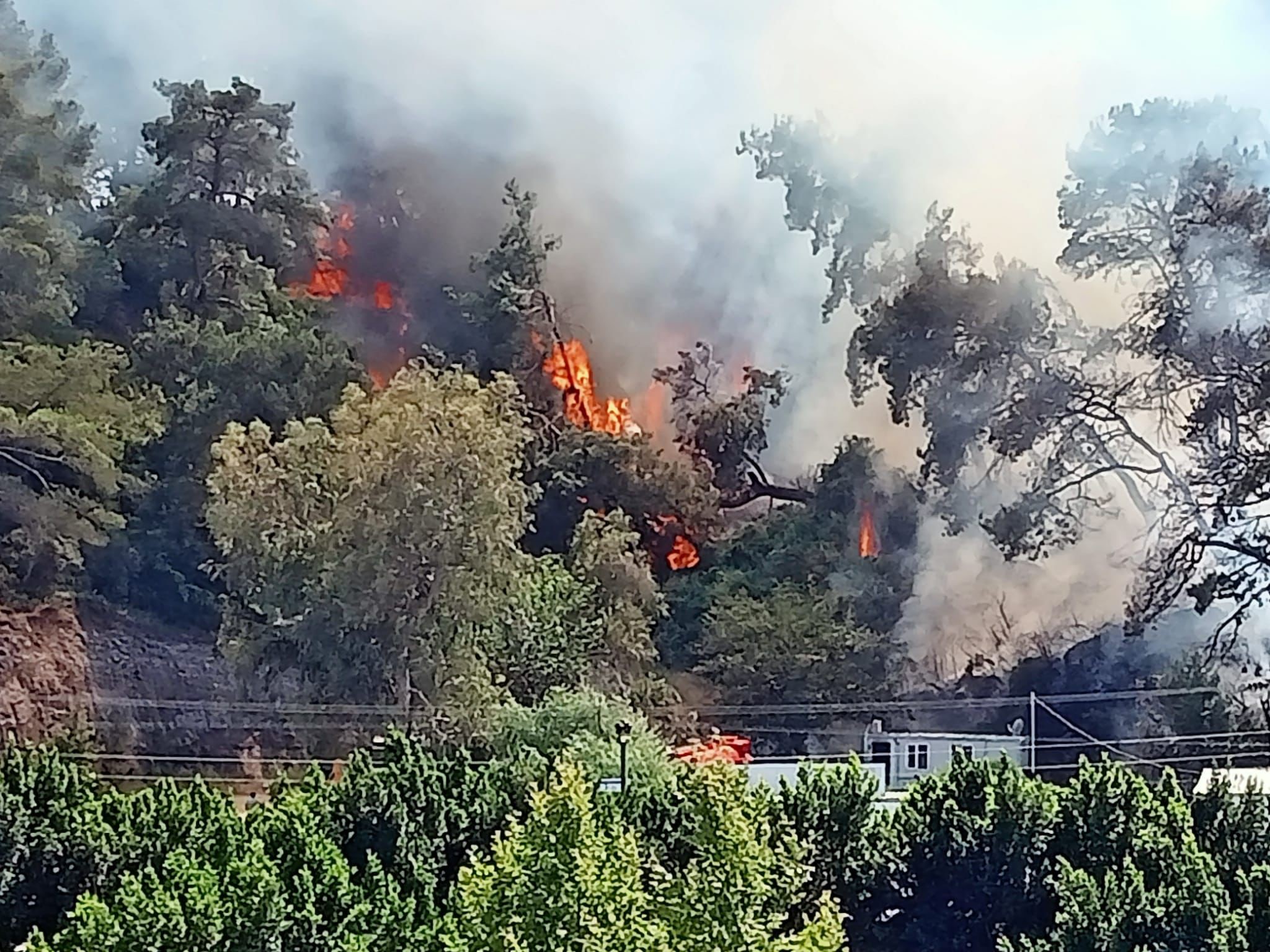 Antalya'da konteyner yangını ormanlık alana sıçradı
