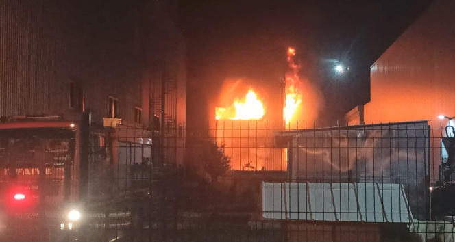 Sakarya'da iki katlı ev alev alev yandı