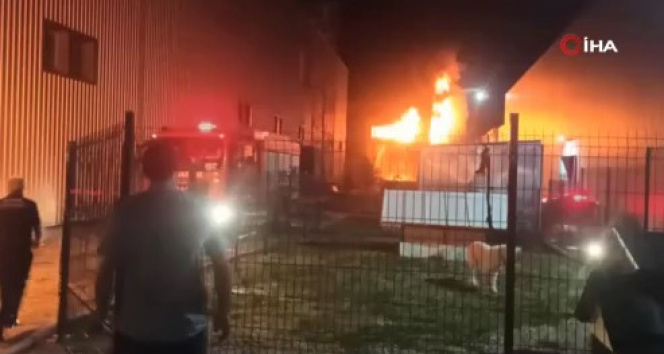 Sakarya'da iki katlı ev alev alev yandı