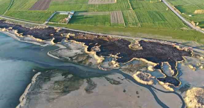 Van’da sazlık alanı yakan şahsa 244 bin TL idari para cezası uygulandı
