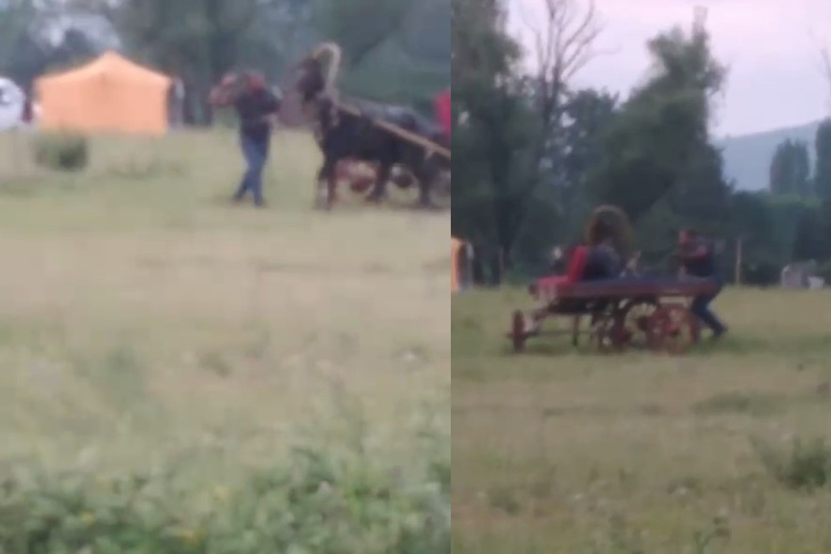 Bursa’da yürekleri sızlatan görüntü…Kendisini çeken ata böyle işkence yaptı