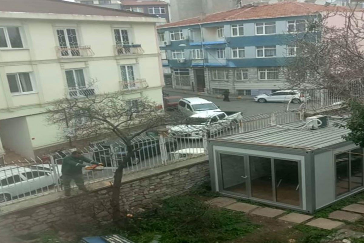 Vakıflar Genel Müdürlüğü’nden “restorasyon” adı altında ağaç katliamı