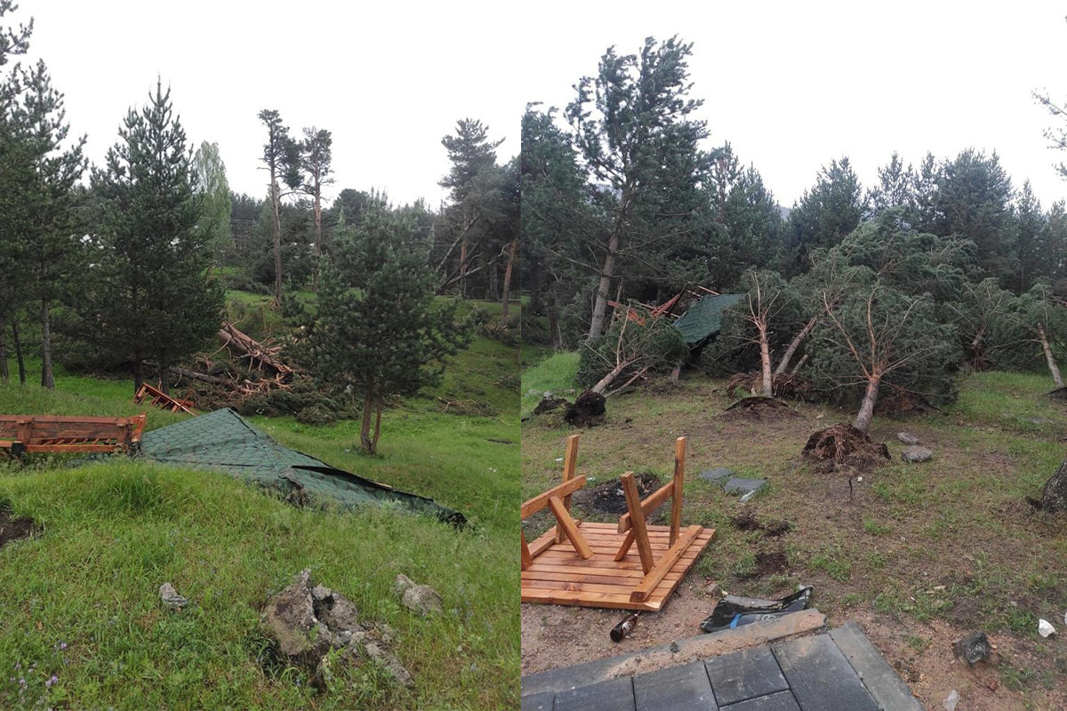 Sarıkamış’ta rüzgar ağaçları yerinden söktü