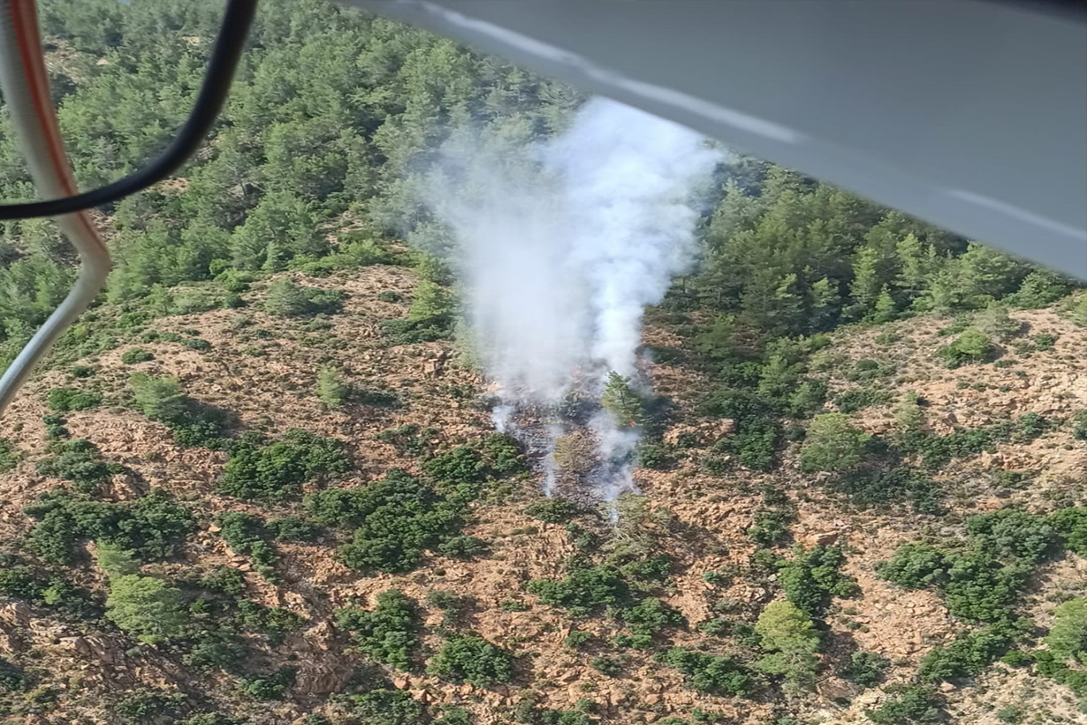 Marmaris’te orman yangını