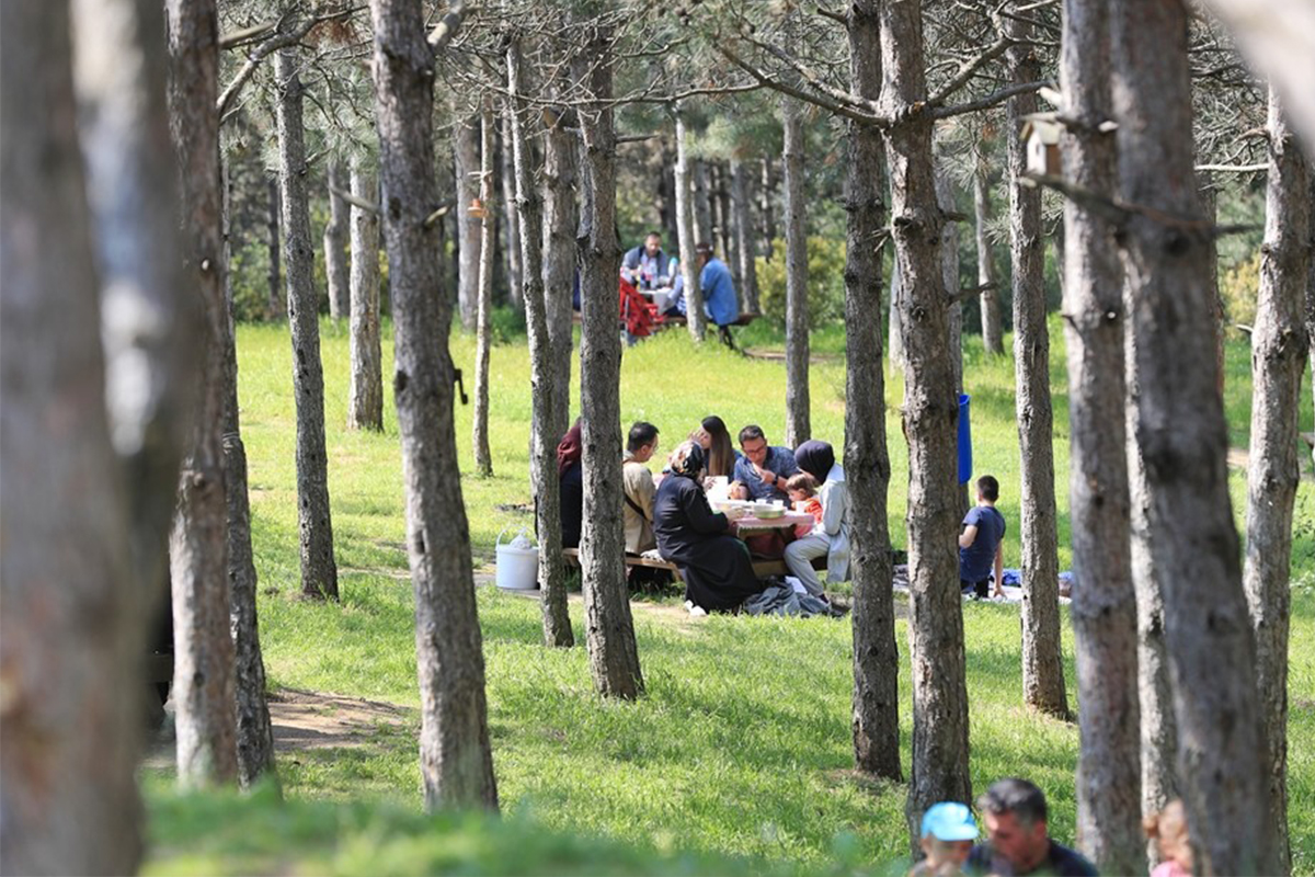 İstanbul’da orman yangınlarına karşı önlem: Girişler yasaklandı
