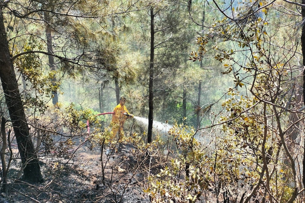 Osmaniye’de orman yangını: Ekipler havadan ve karadan müdahale etti