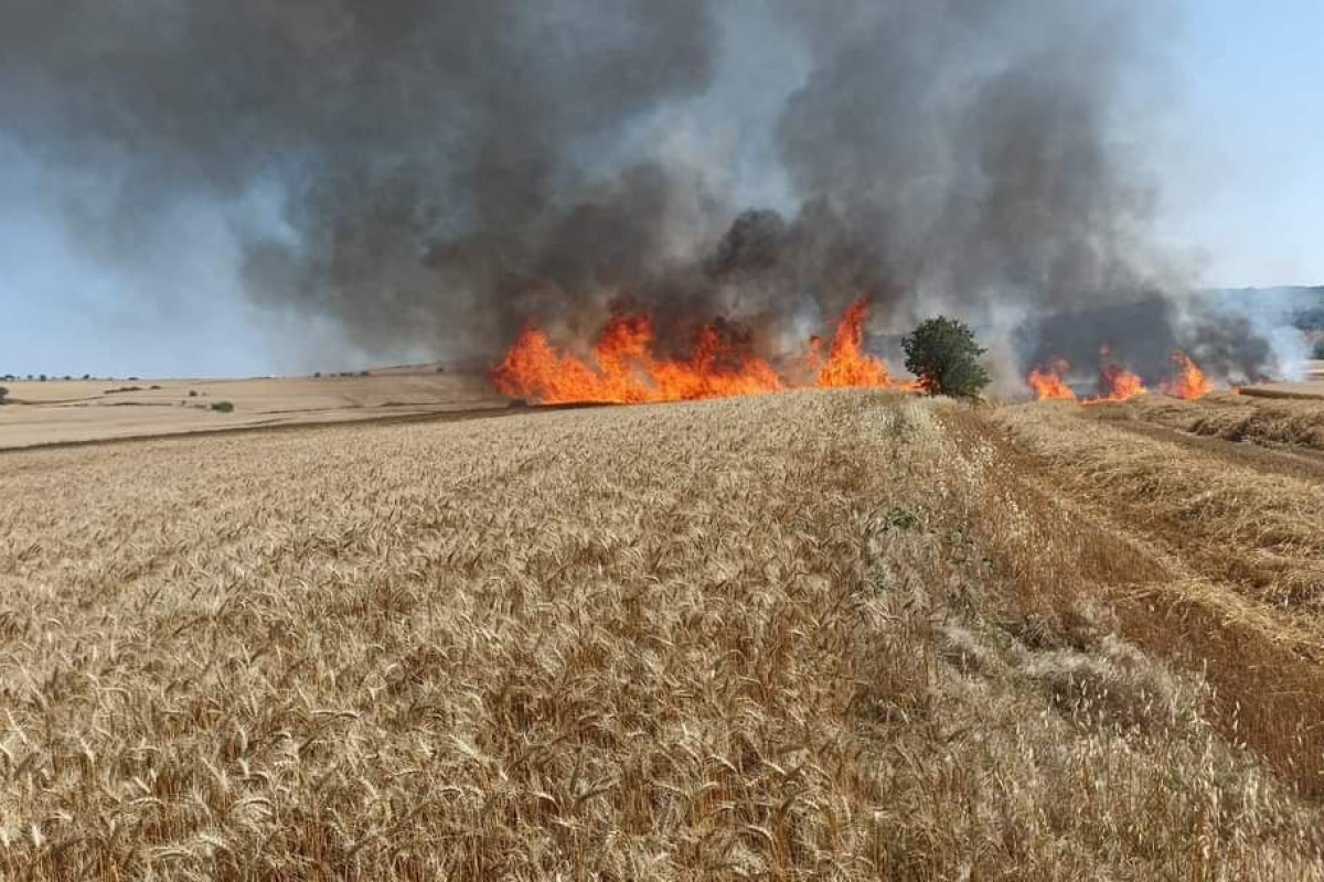 Keşan’da 30 dönüm buğday ekili arazi kül oldu