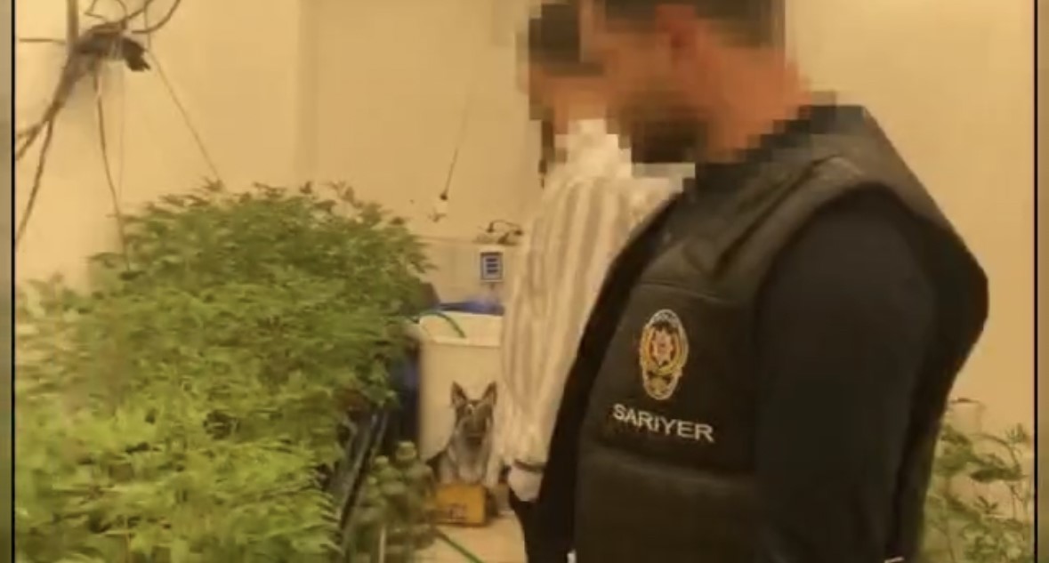 Sarıyer’de sera eve operasyon kamerada: 5 milyon liralık marihuana ele geçirildi
