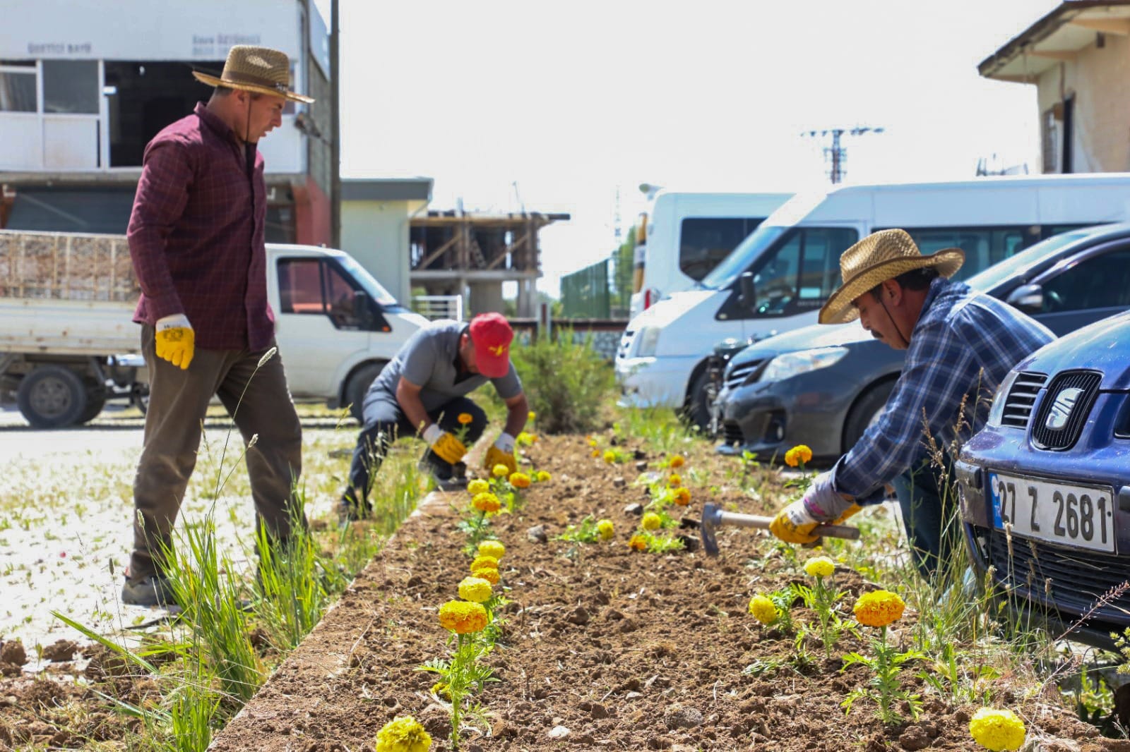 Gürpınar Belediyesi İlçeyi Çiçeklerle Süsledi
