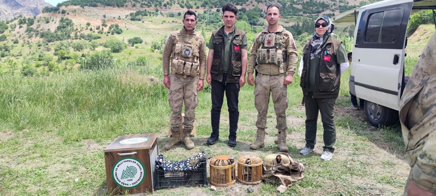 Van’da kafes avcılığı