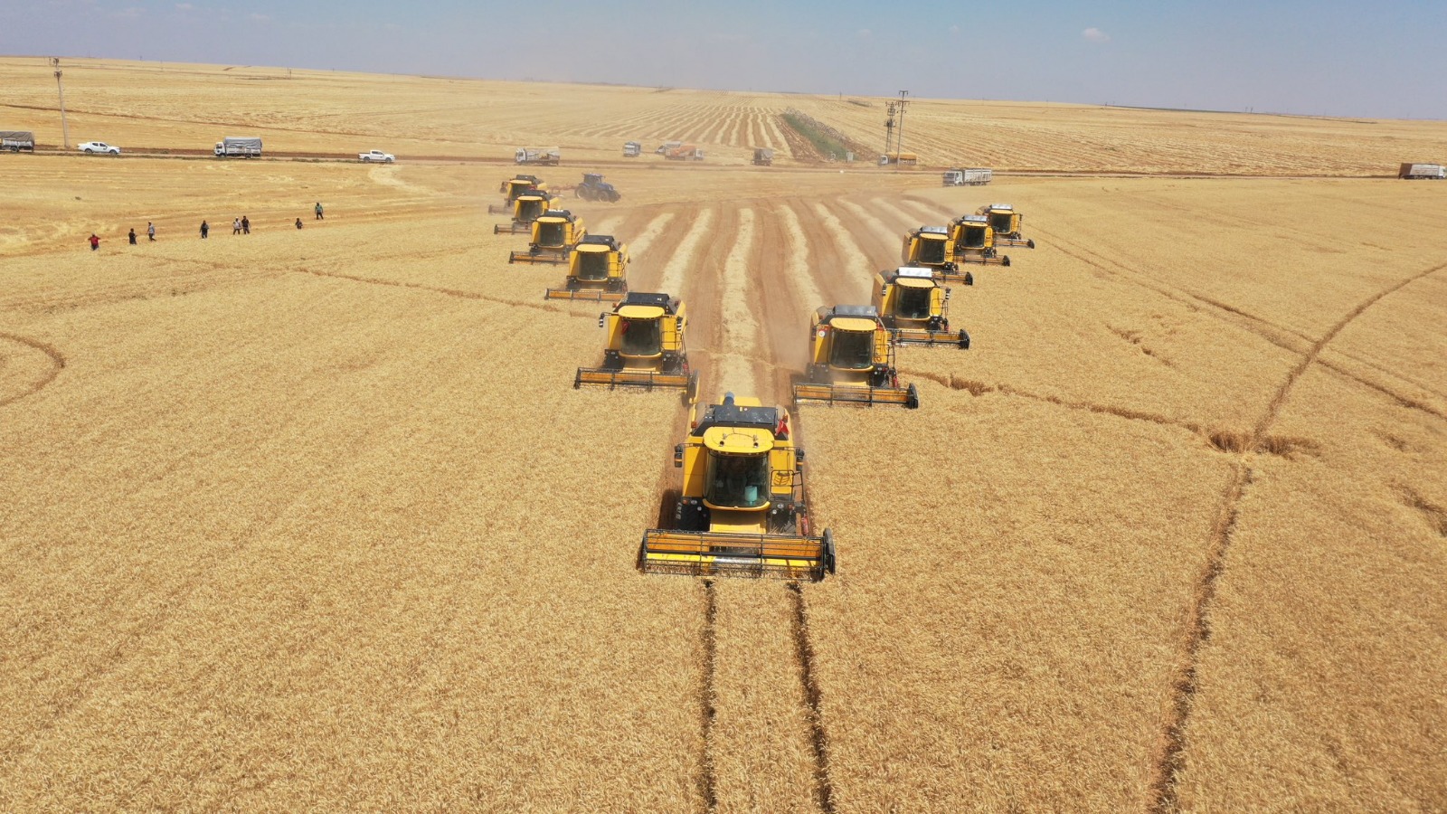 Ceylanpınar Tarım İşletmesi ülke tarımına büyük katkı sağlıyor