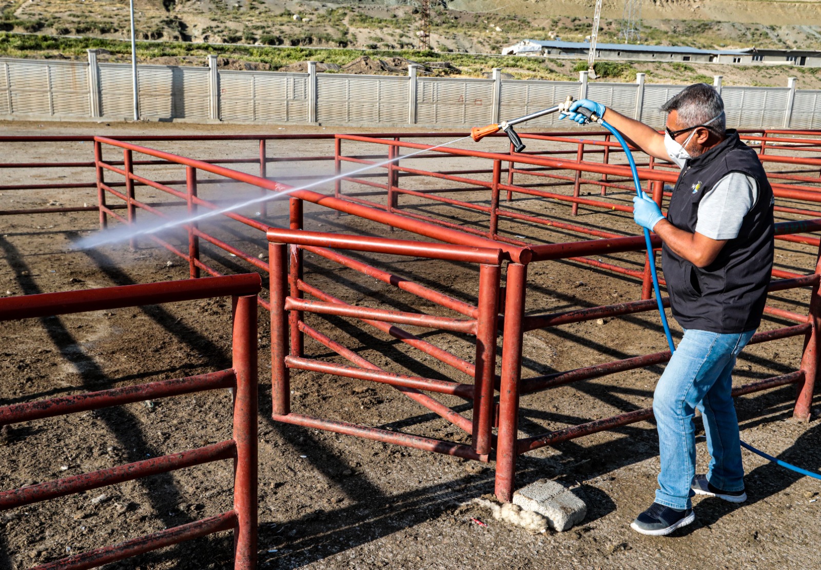 Canlı hayvan pazarını ilaçlandı