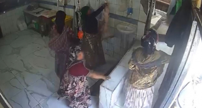 Sultangazi'de hırsızlar petshoptan çaldıkları kuşları montun cebine sakladı