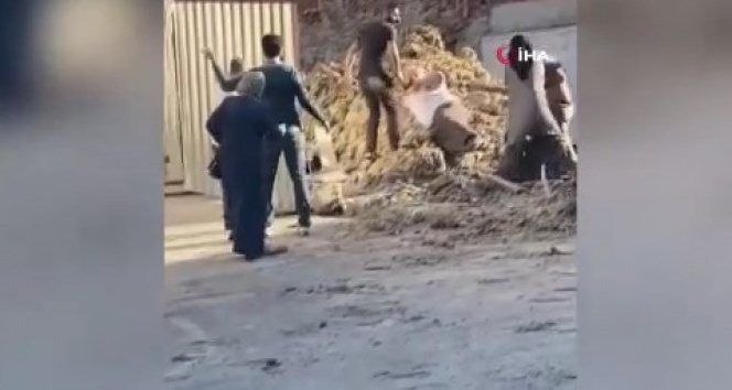 İstanbul’da 'kılıç kalkan oyunu' gibi bıçaklı kavga kamerada