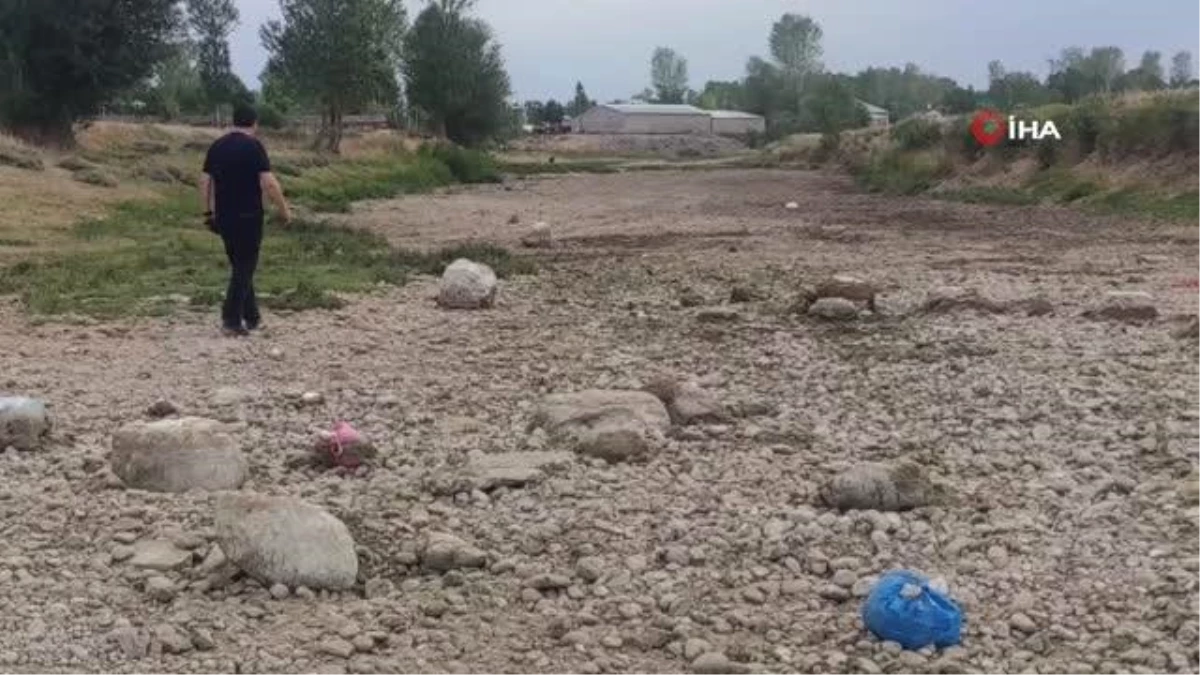 Van’da inci kefalinin üreme noktası kurudu