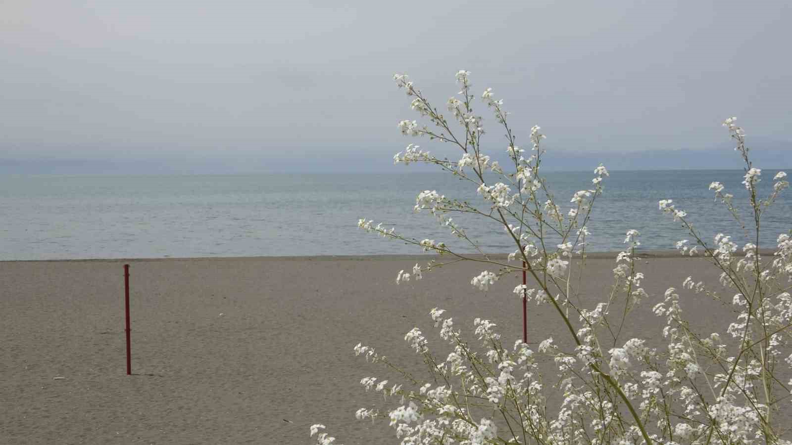 Van Gölü’nün su seviyesinde iyileşme yaşanıyor