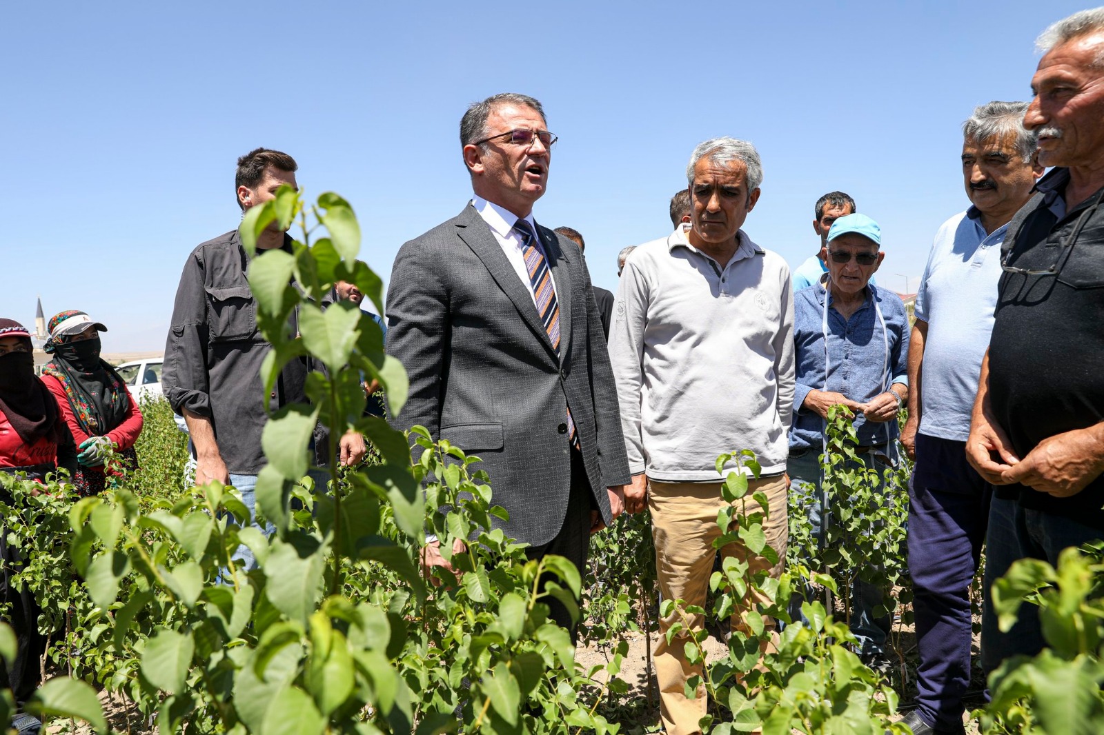 Van’da 2 milyon 700 bin meyve fidanı toprakla buluşturulacak