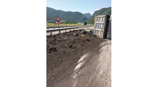 Bilecik’te devrilen tırın sürücüsü yaralandı