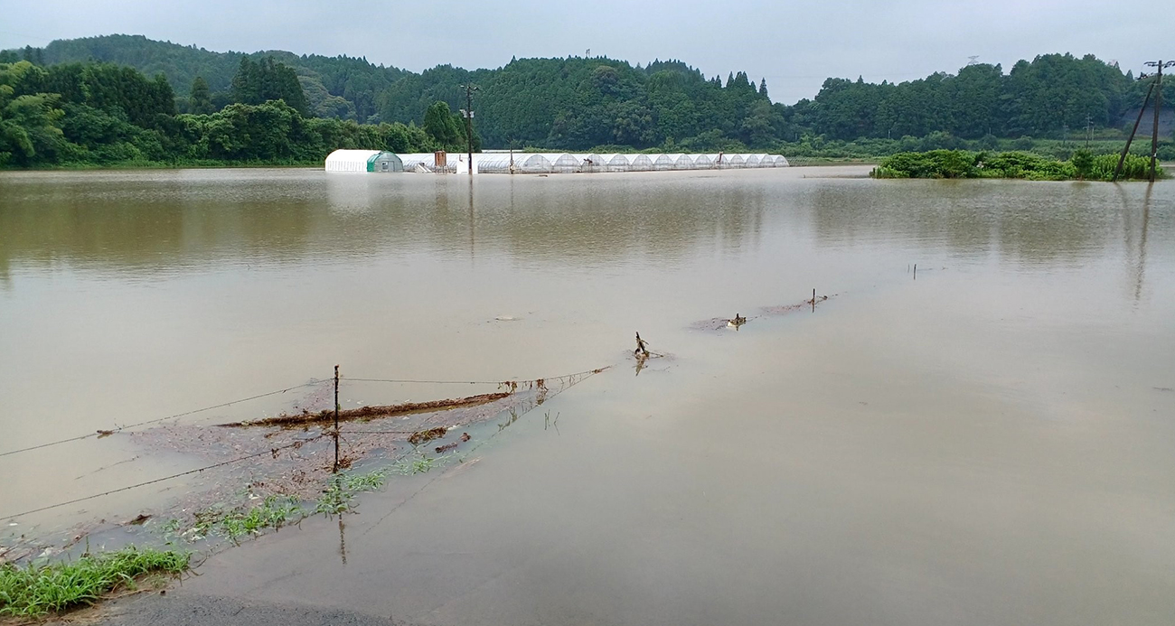Japonya’da toprak kayması: 1 ölü