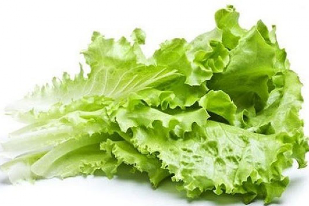 İstanbul’da Haziran ayında en çok kıvırcık salata pahalandı