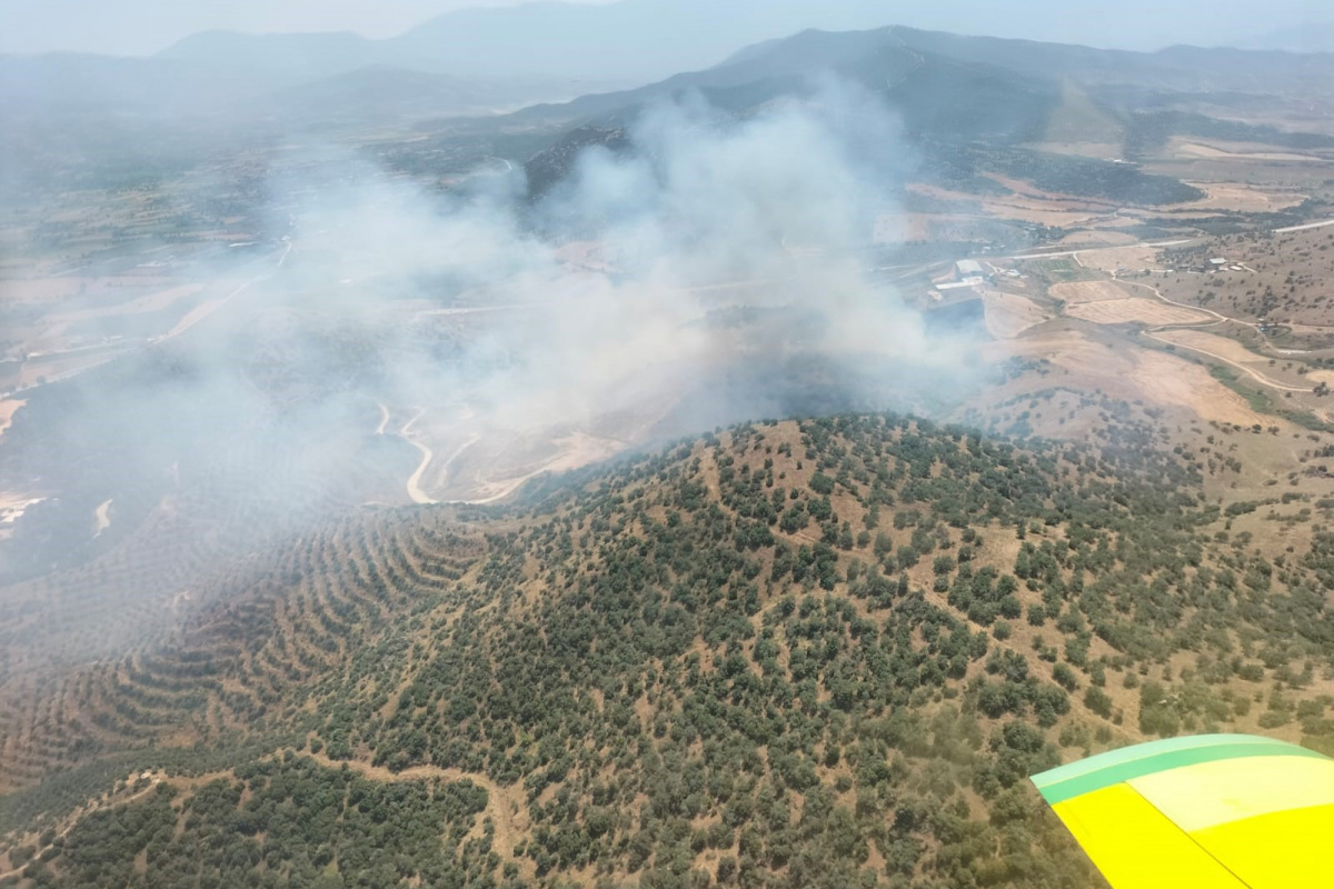 Ekin tarlasında başlayan yangın ormana sıçradı