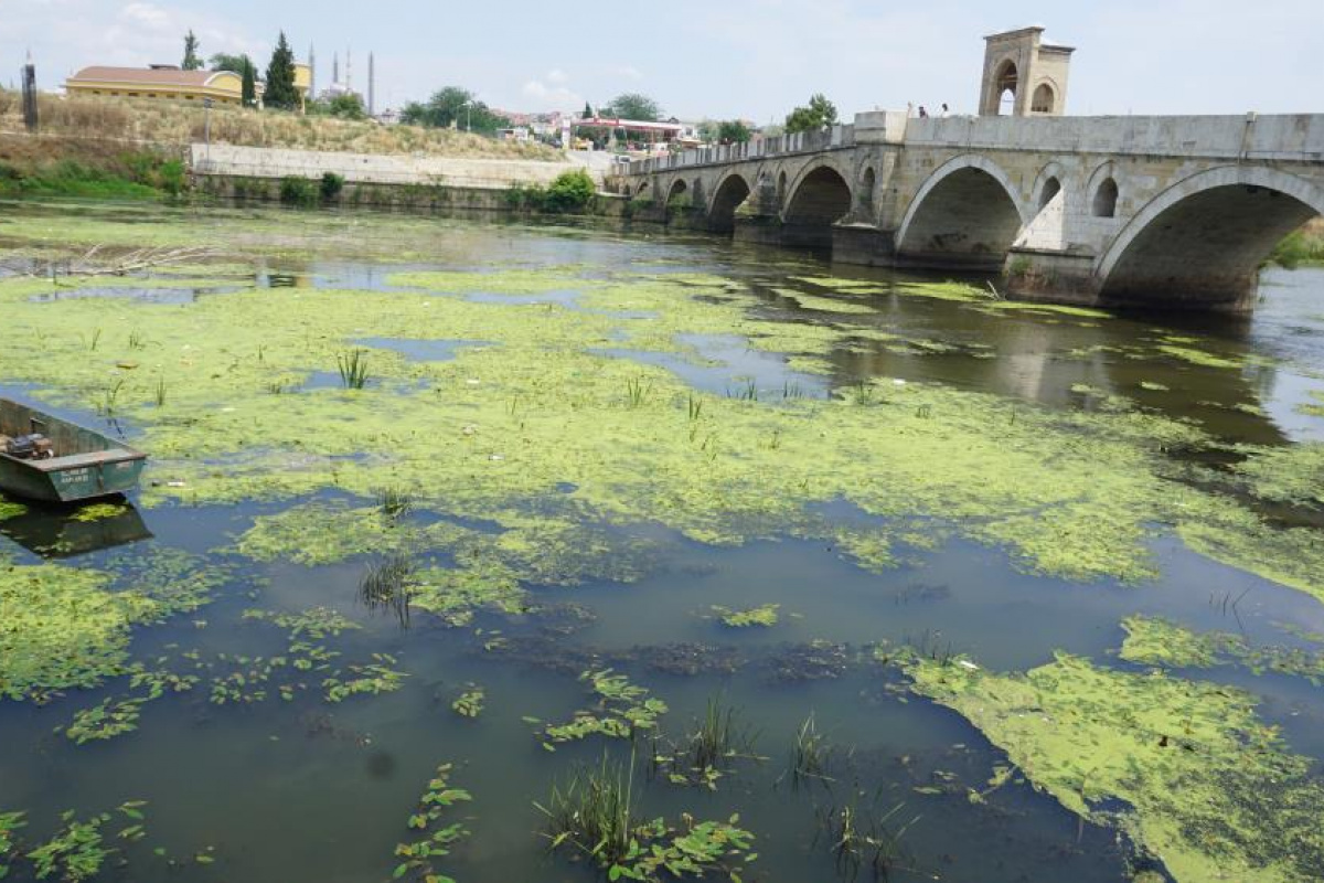 Edirne’de Tunca Nehri plastik atıklar ve çöplerle kaplandı