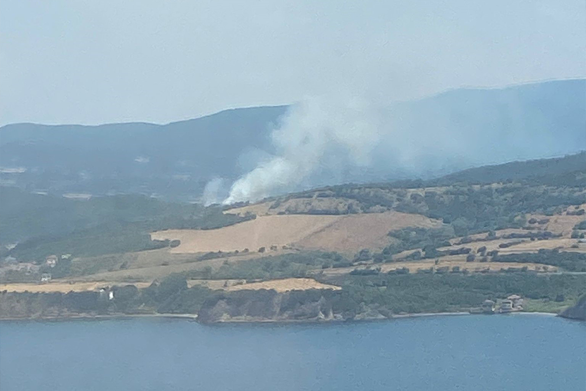 Çanakkale’de orman yangını