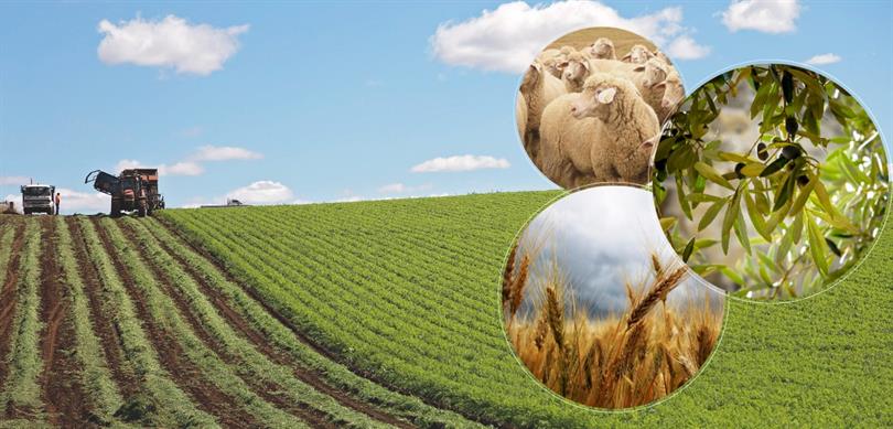 Çiftçilere destek ödemeleri başladı