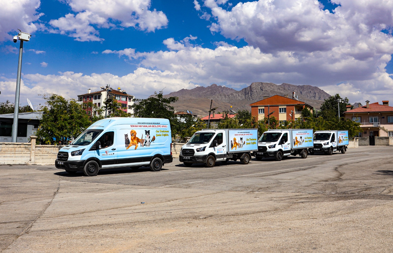 Van Sahipsiz Hayvanlar Birliği sokak hayvanlarına hayat veriyor