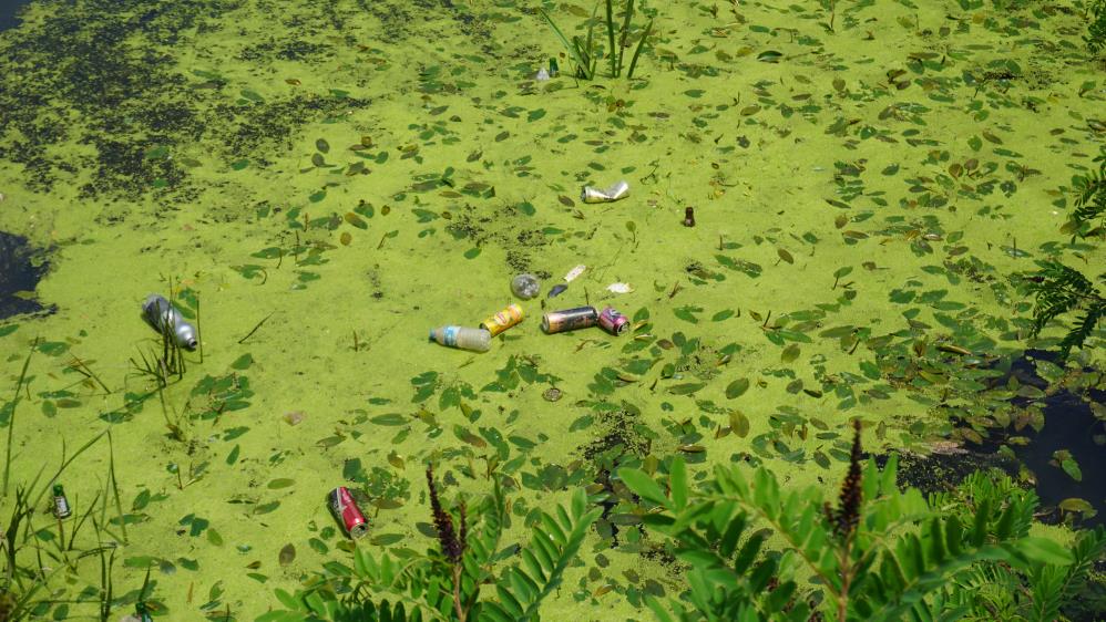 Edirne'de Tunca Nehri plastik atıklar ve çöplerle kaplandı