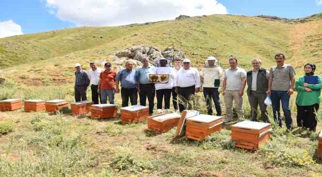 Organik bal üretimi için deneme amaçlı kovan dağıtıldı