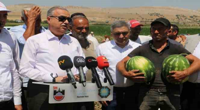 Diyarbakır’da karpuz hasadı başladı