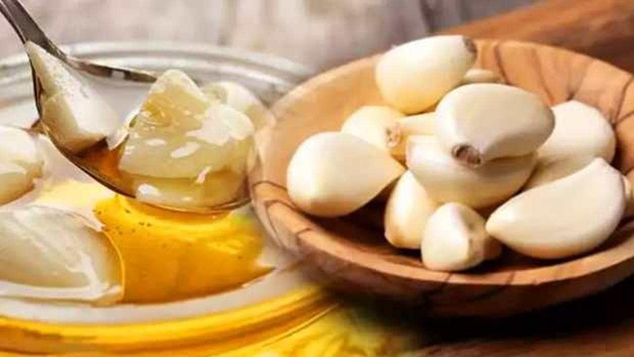 Damar tıkanıklığı tedavisine doğal yöntem: Damardaki yağları söküp atacak!