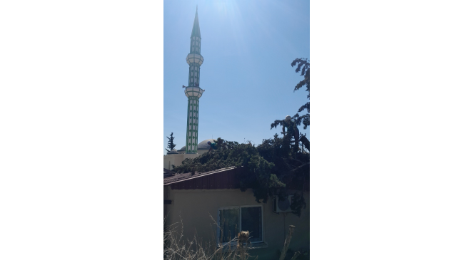 Ağaç lojmanın üzerine devrildi, ekipler kaldırdı