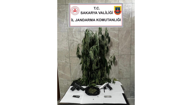 Jandarmadan uyuşturucu operasyonu: 1 gözaltı