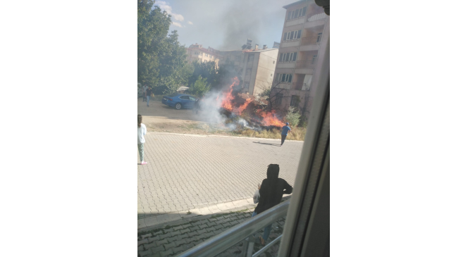 Elazığ’da korkutan yangın: Alevler evlere sıçramadan söndürüldü