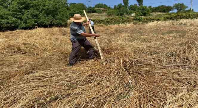 Yere yatan ekinlere biçerdöver giremeyince tırpanlar sahneye çıktı