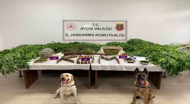 Aydın’da son 6 ayda 50 ton uyuşturucu madde ele geçirildi