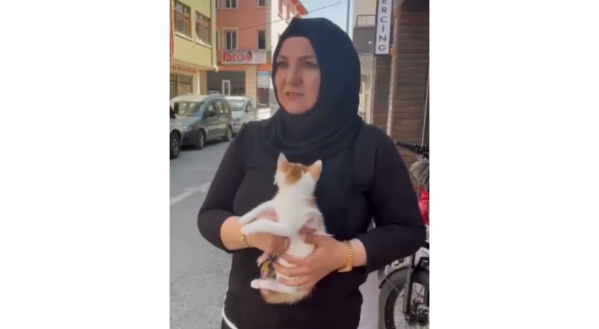 Balkonda mahsur kalan yavru kediyi itfaiye kurtardı