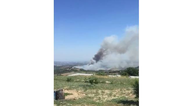 Tarsus’ta çıkan orman yangını kontrol altına alındı