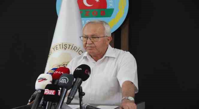 TAB Başkanı açıkladı: “1 kilogram balın maliyeti 127 TL”