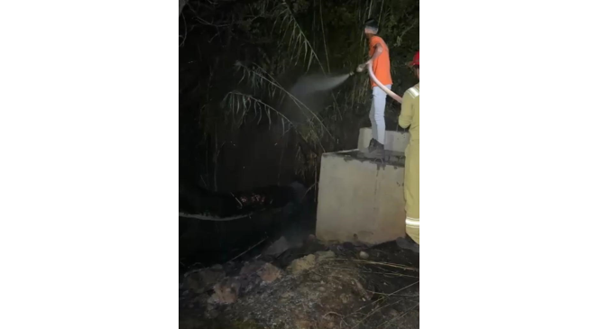 Gazipaşa’da hazineye ait bozuk ormanlık alanda yangın çıktı