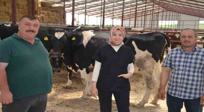 Macar düveler Beylikova’ya geldi