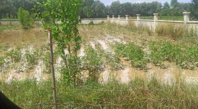 Bolu’da sel felaketinin zararı tespit ediliyor