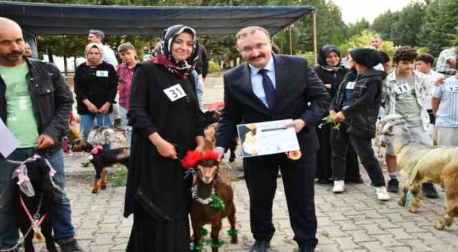 Emet’te oğlaklar podyuma çıktı