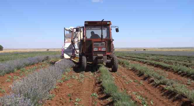 Başkan Altay: “Çiftçimizin yanında olmaya devam edeceğiz”