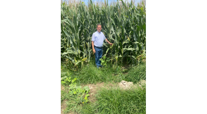 Yüreğir Ziraat Odası Başkanı Doğan: “Mısır hasadı yaklaşırken dolu depolar çiftçiyi kaygılandırıyor”