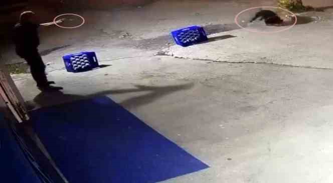 Ağaca bağlı köpeğe, arkadaşına saldırdığı için kurşun yağdırmış