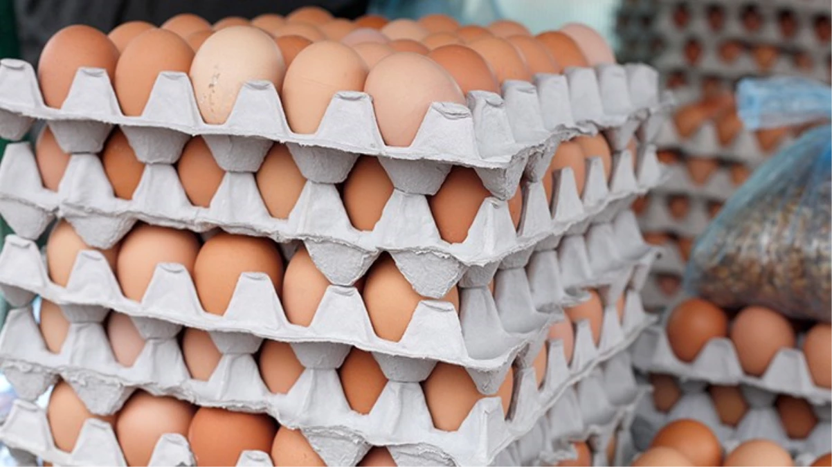 Tayvan’a ihraç edilen Türk yumurtalarında kanserojen madde mi var? Bakanlık konuyla ilgili inceleme başlattı